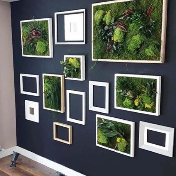 Composicion cuadros vegetales