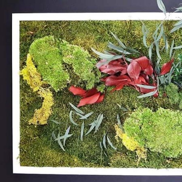 Cuadro vegetal (3)