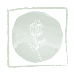Olichat Design Cuadros Vegetales