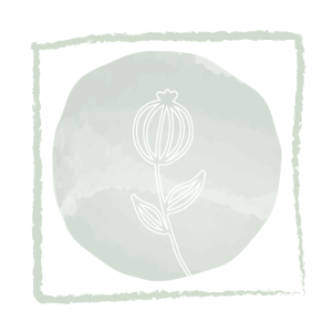 Olichat Design Cuadros Vegetales